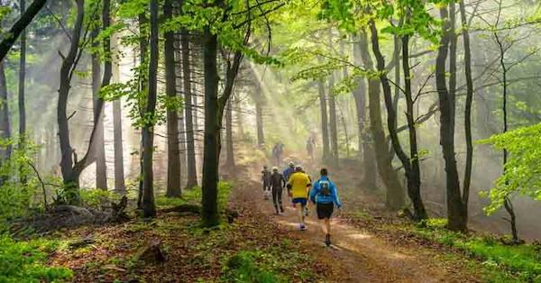 Turismo Sustentável