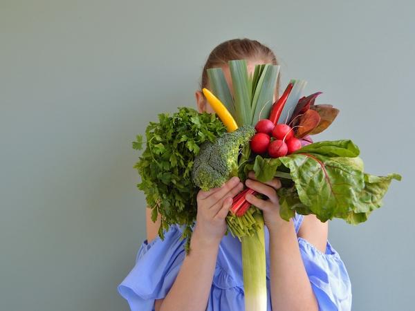 dieta baseada em plantas