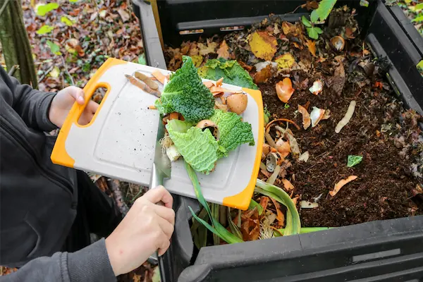 Guia de compostagem caseira
