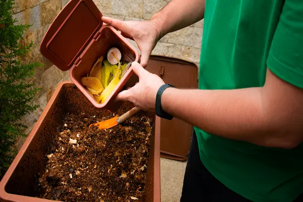 Guia de compostagem caseira