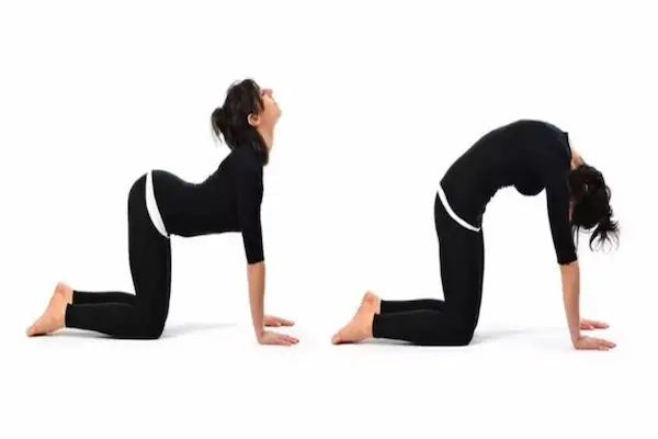 alongamentos simples para home office